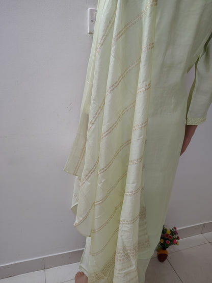Pastel Green Roman Silk Embroidered Kurta Set for Women – Ethnic Summer Collection